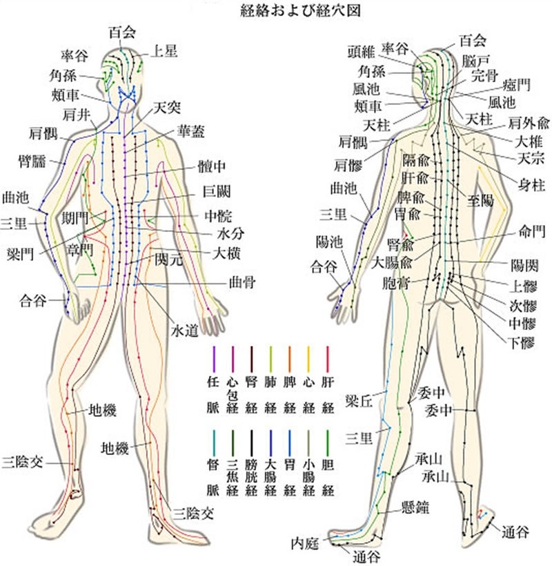 経絡図