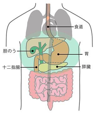 みぞおちj