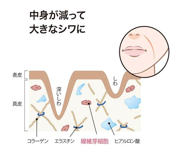 中身が減ってる