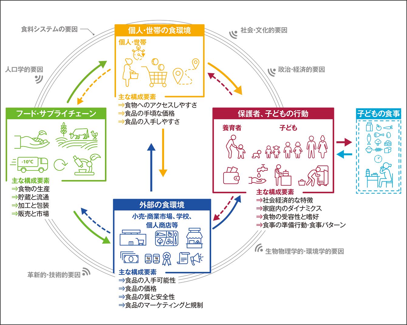 栄養が与える影響