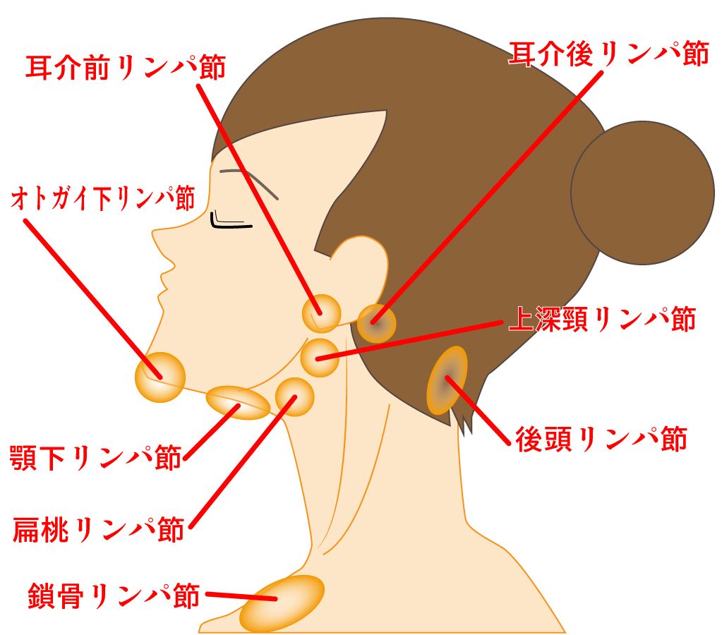 首のしこり