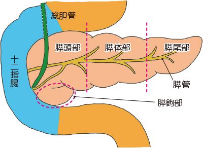 構造