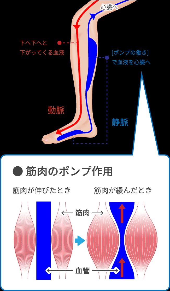 足