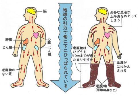 足に老廃物が溜まりやすい