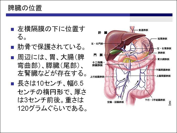 位置