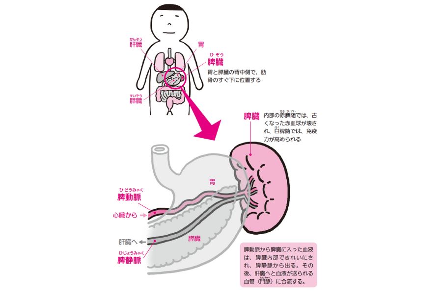 働き