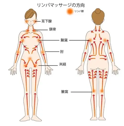 リンパマッサ－ジ